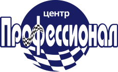 Professional logo1
